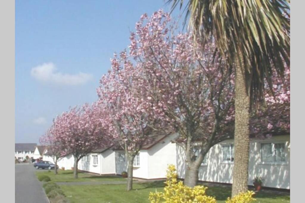 Willa Perfect For The Family And Beaches - Gower Cwtch Swansea Zewnętrze zdjęcie